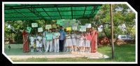 Tree Plantation activity 